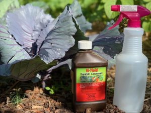 The Rise of Organic Pesticides in Sustainable Agriculture